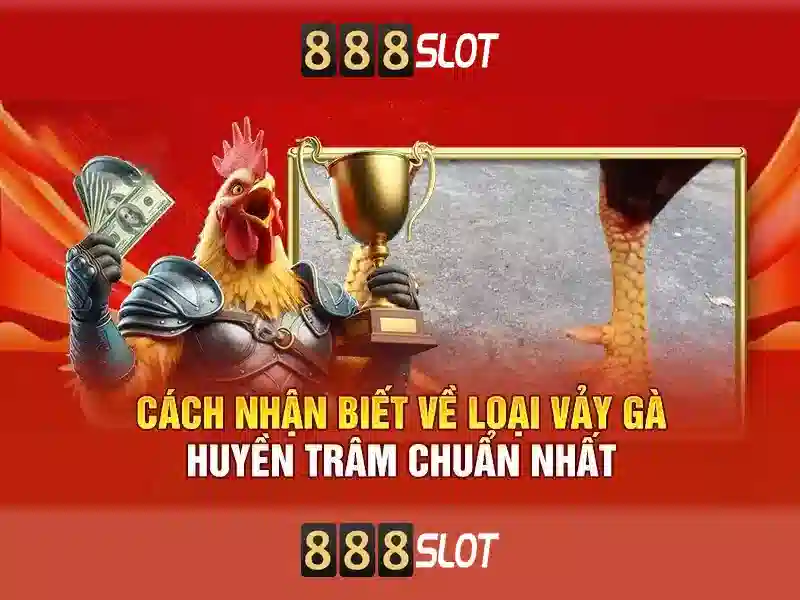 Danh mục trò chơi và chất lượng