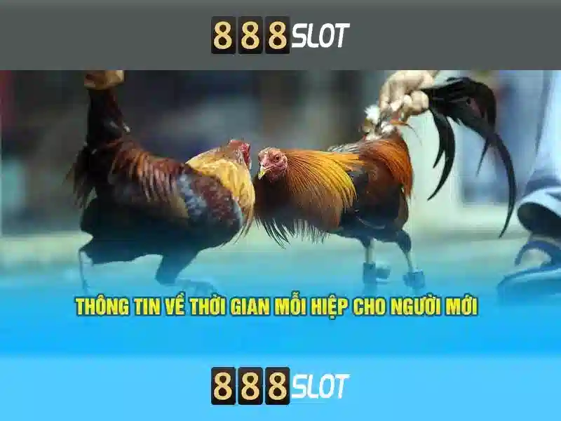 An toàn, bảo mật và trách nhiệm khi chơi