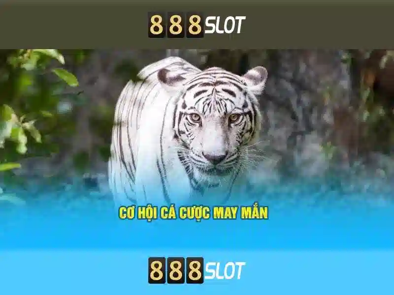 888Slot: Nền tảng slot trực tuyến hàng đầu