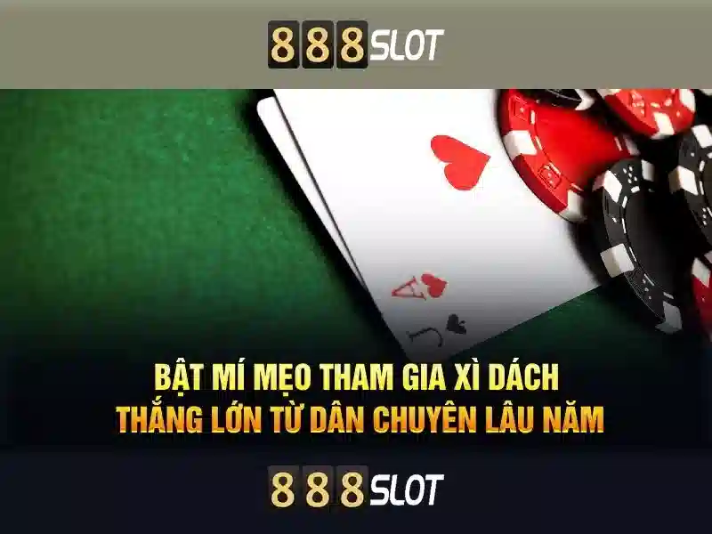 Các tính năng nổi bật