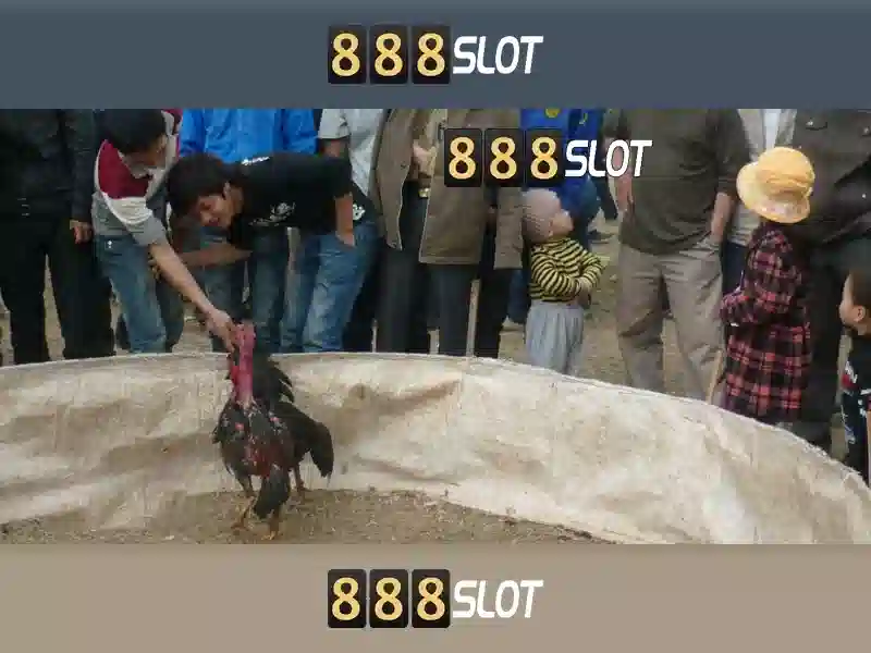 Giới thiệu về 888slot