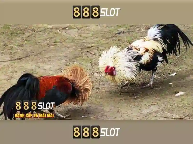 888Slot: Nền tảng casino trực tuyến nổi bật