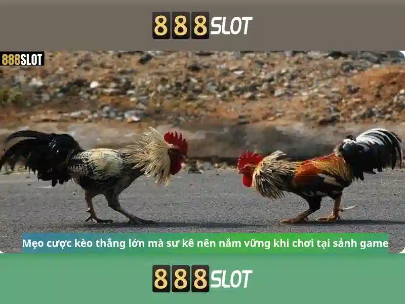 Trải nghiệm chơi Trải nghiệm chơi