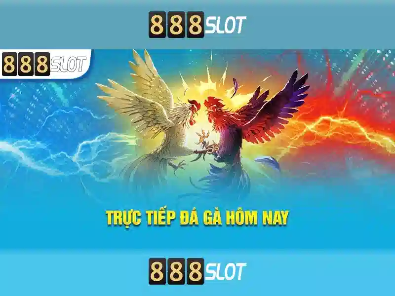 Danh mục trò chơi và chất lượng\n