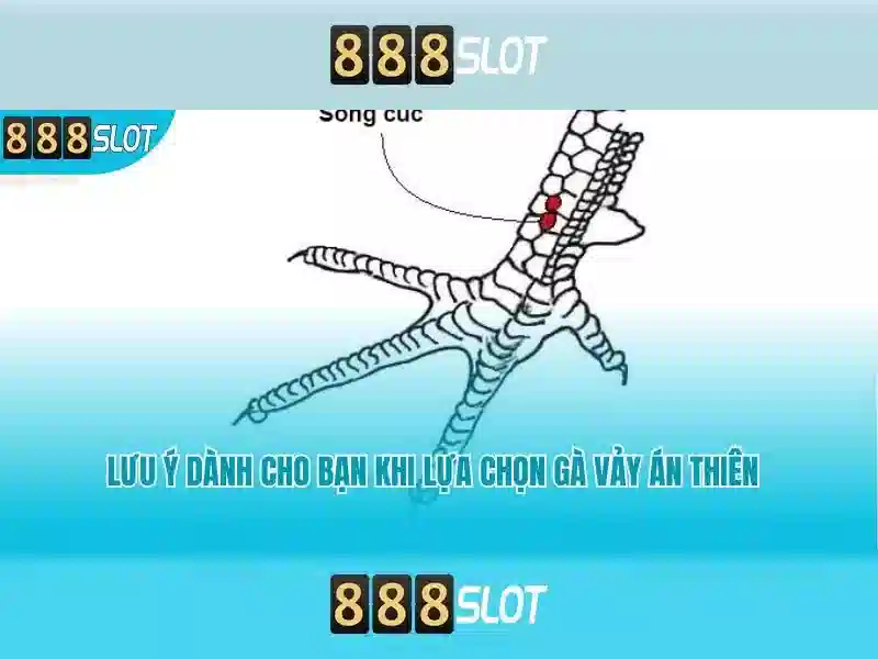Mẹo chơi bắn cá 3 cây dễ ăn tiền nhà cái