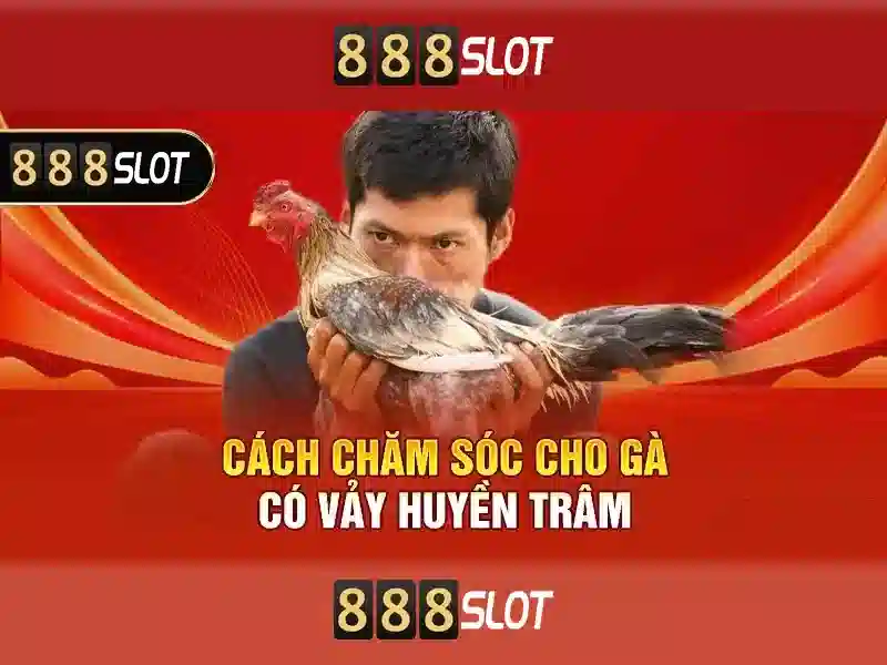 Tinh nang noi bat cua 888slot\n