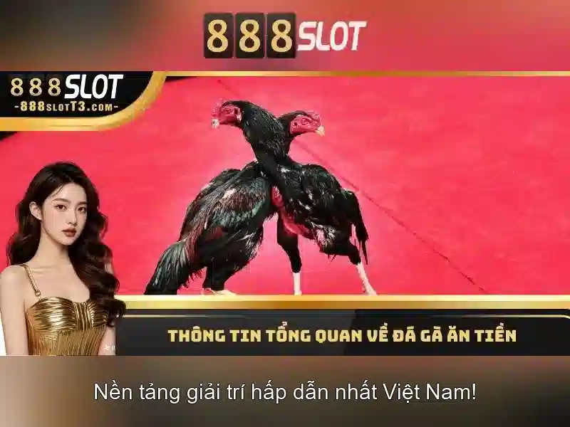 888slot – Cổng trò chơi slot trực tuyến đáng tin cậy 888slot – Cổng trò chơi slot trực tuyến đáng tin cậy
