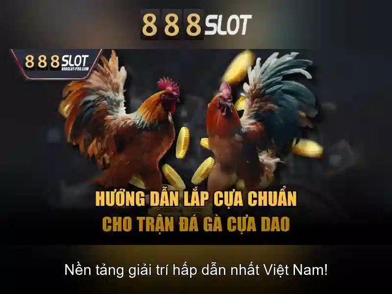 Khuyến mãi và chương trình đặc biệt