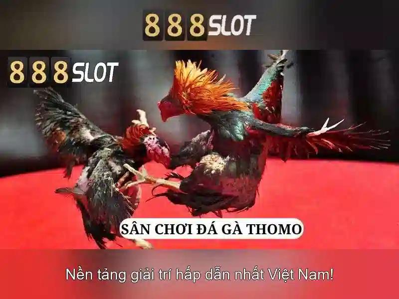888slot - Đánh giá tổng quan về nền tảng đánh bạc trực tuyến