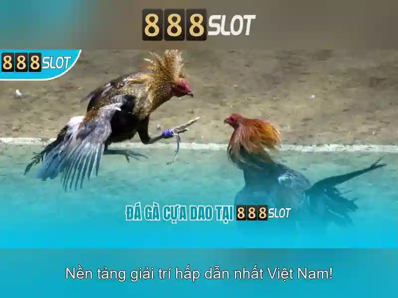 888slot - Đánh giá và trải nghiệm nền tảng slot trực tuyến