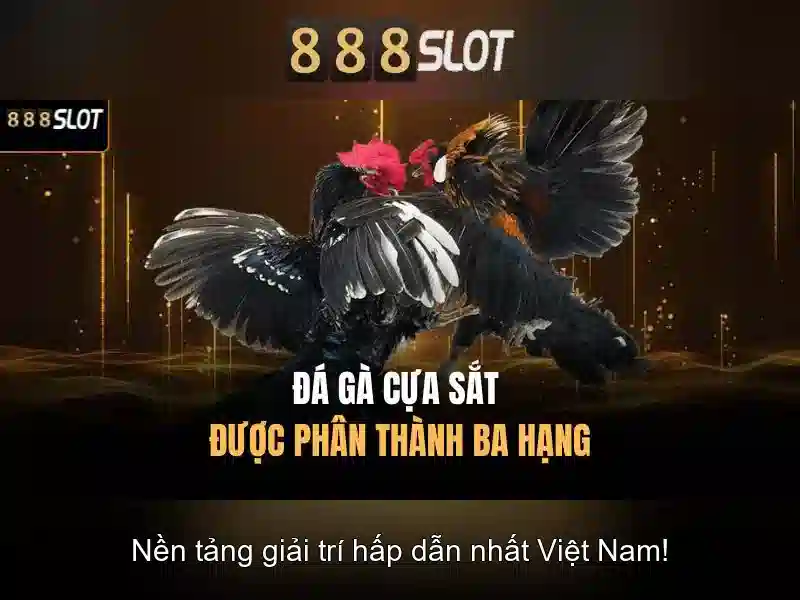 888slot - Tổng quan về nền tảng trò chơi trực tuyến